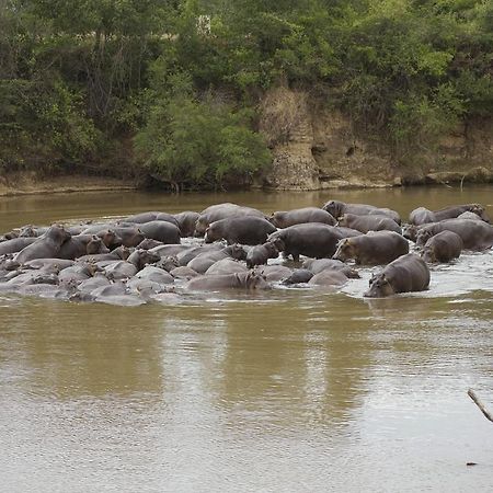 Ngerende Island Lodge (Adults Only) Maasai Mara Bagian luar foto